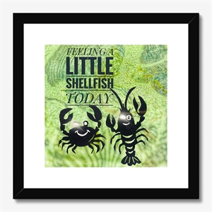 Feeling a little Shellfish today